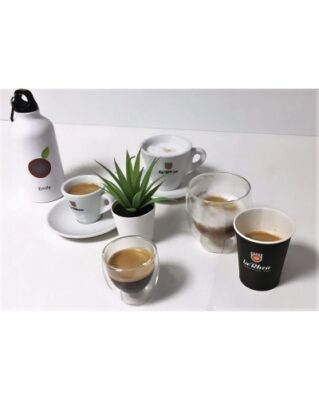 environnement aout 2019